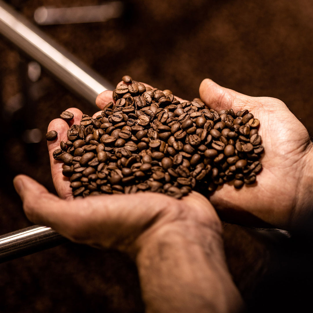 How to store coffee beans - what you didn't know you needed to know