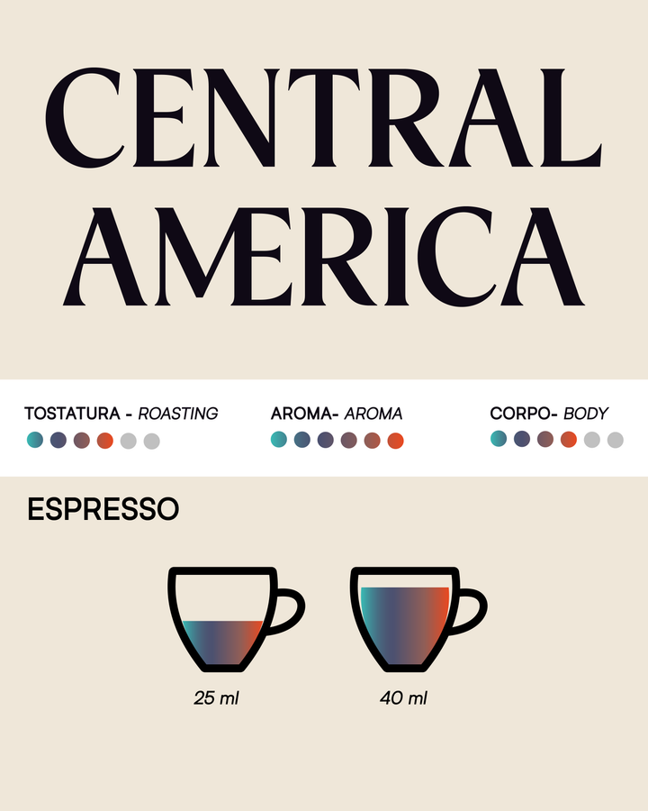 Tostini My Central America Blend Ground Coffee 8.8 oz